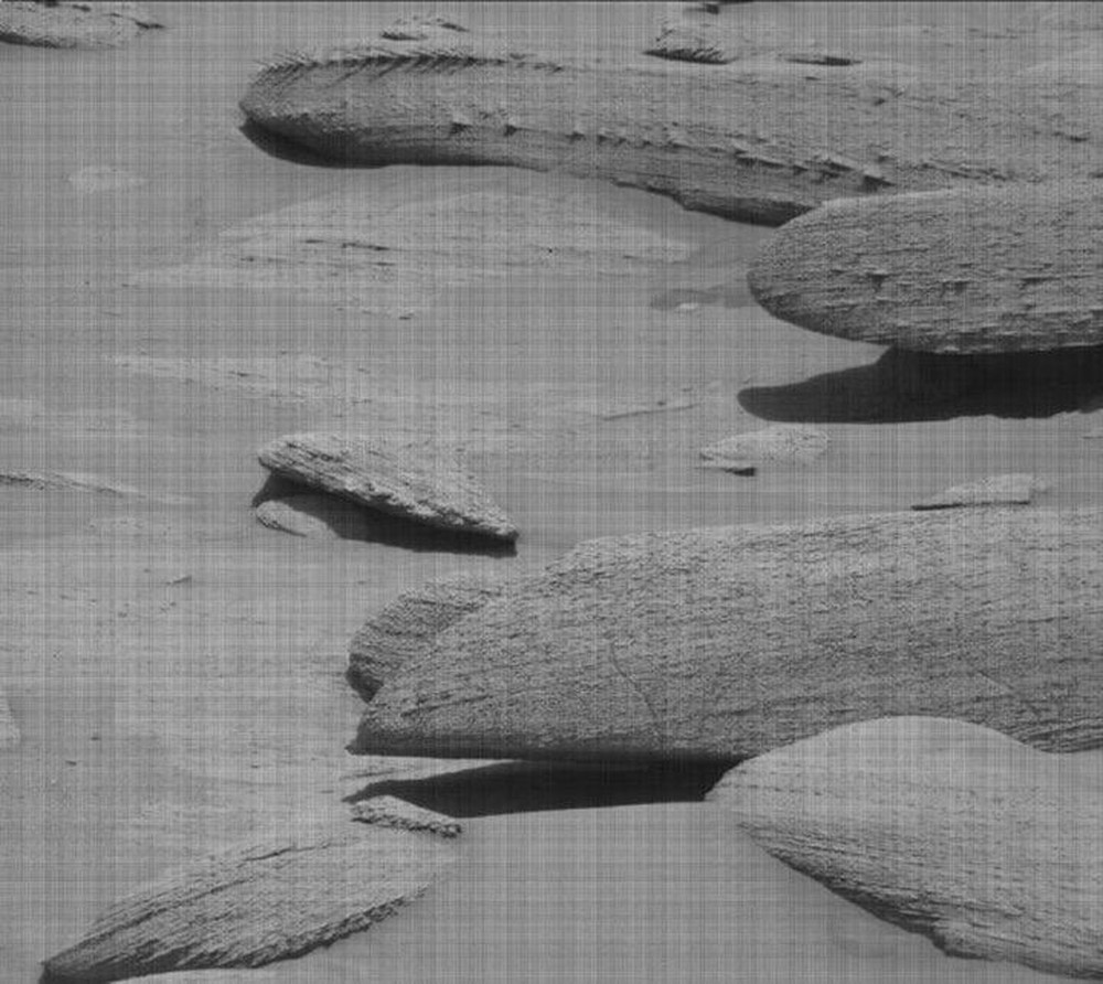NASA phát hiện tảng đá giống xương khổng lồ trên sao Hỏa - Ảnh 1.