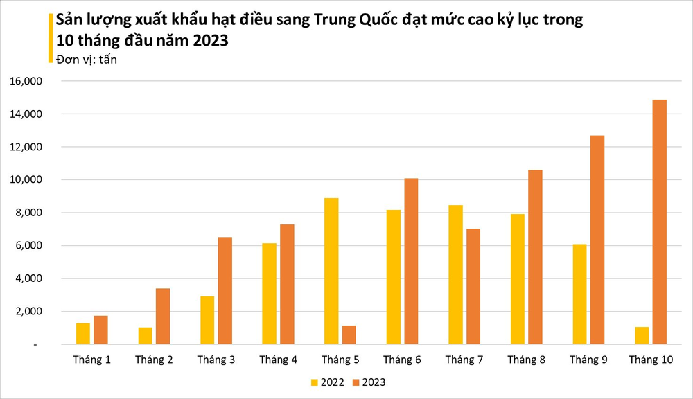 Một loại hạt vàng của Việt Nam khiến Trung Quốc mê hơn cả hàng nội địa dù giá đắt đỏ: Xuất khẩu tăng đột biến trong tháng 10, Việt Nam độc bá thị trường - Ảnh 3.