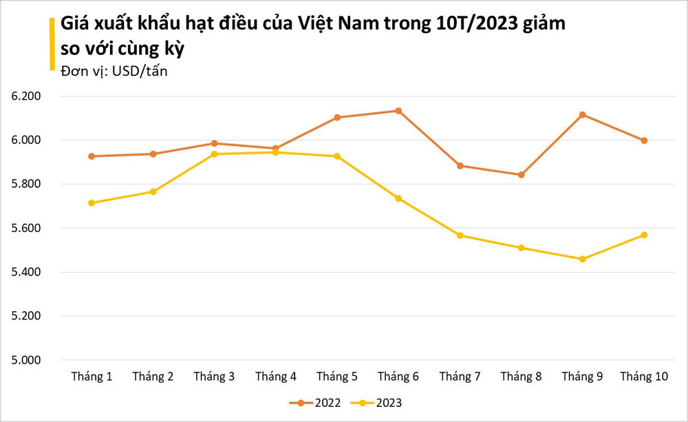 Một loại hạt vàng của Việt Nam khiến Trung Quốc mê hơn cả hàng nội địa dù giá đắt đỏ: Xuất khẩu tăng đột biến trong tháng 10, Việt Nam độc bá thị trường - Ảnh 2.