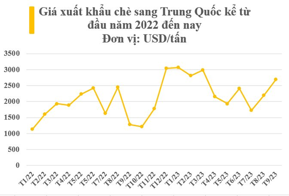 Vàng xanh của Việt Nam bất ngờ được Trung Quốc gom hàng với giá đắt đỏ kỷ lục, thu về hàng trăm triệu USD trong 9 tháng đầu năm - Ảnh 3.