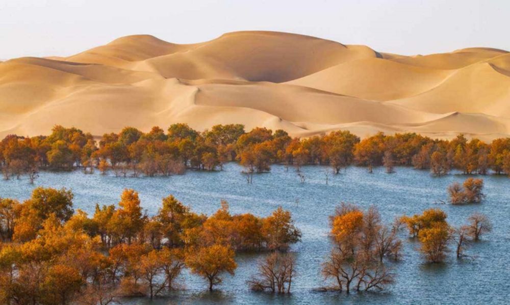 Cách Trung Quốc phủ xanh sa mạc Biển tử thần rộng 330.000km2 - Ảnh 14.