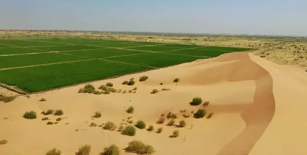 Cách Trung Quốc phủ xanh sa mạc Biển tử thần rộng 330.000km2 - Ảnh 6.
