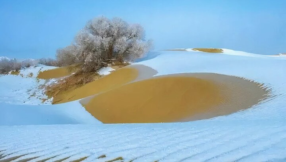 Cách Trung Quốc phủ xanh sa mạc Biển tử thần rộng 330.000km2 - Ảnh 5.