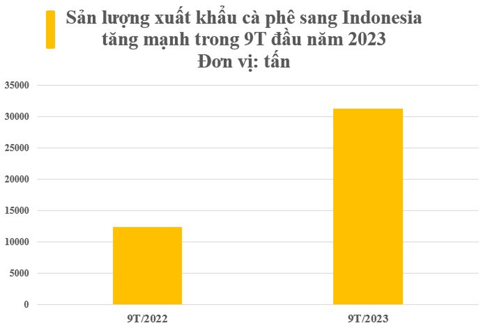 Loại hạt vàng trên cây của Việt Nam làm mưa làm gió tại một quốc gia khu vực: Xuất khẩu tăng mạnh 3 chữ số, nước ta có sản lượng gấp đôi so với láng giềng - Ảnh 3.