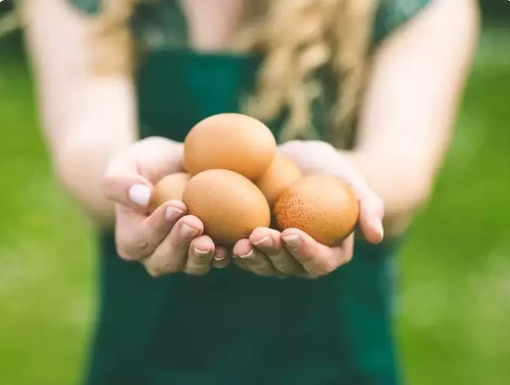 Trứng luộc và trứng rán, món nào nhiều dinh dưỡng hơn? - Ảnh 1.