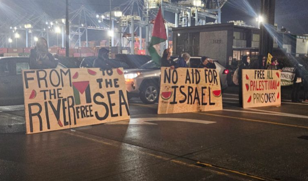 Người biểu tình chặn tàu Mỹ chở vũ khí tới Israel - Ảnh 2.