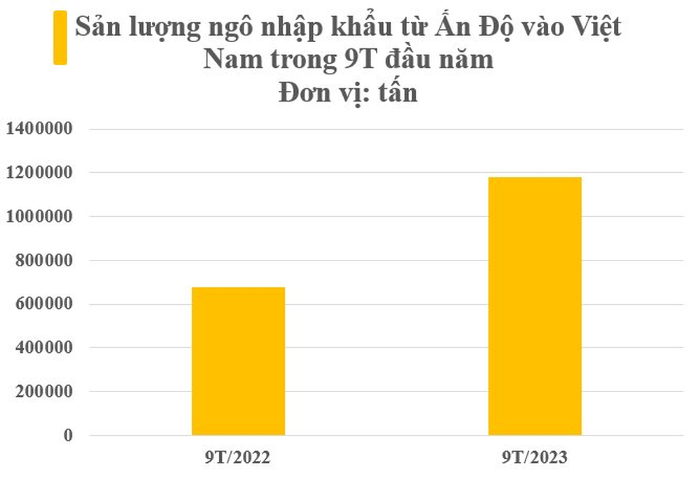 Giá rẻ hấp dẫn, báu vật quốc gia của Ấn Độ ồ ạt về Việt Nam trong 9 tháng đầu năm, là cứu tinh quan trọng cho nhiều mặt hàng xuất khẩu tỷ USD - Ảnh 3.