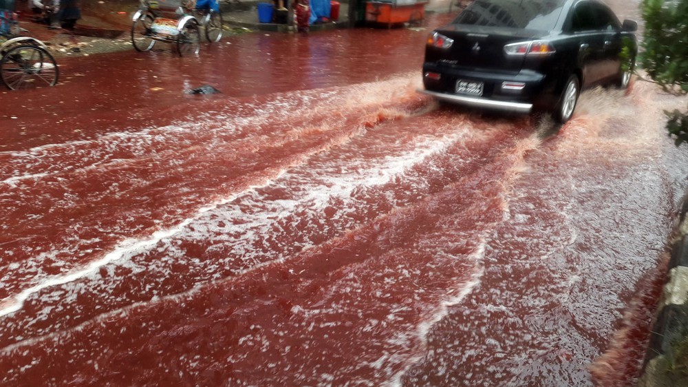 Bí ẩn về những cơn mưa máu xuất hiện liên tục tại Ấn Độ - Ảnh 1.