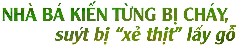 Số phận chìm nổi của ngôi nhà Bá Kiến và các đời chủ nhân - Ảnh 5.