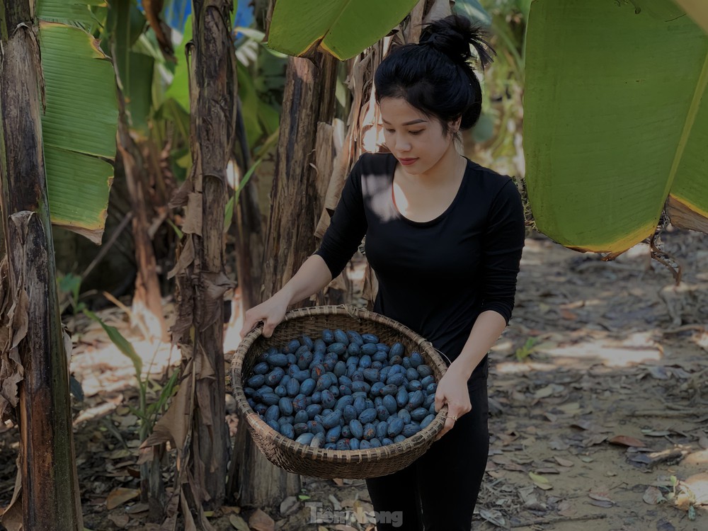 Lên đời nhờ loài cây mọc hoang trở thành món đặc sản - Ảnh 11.