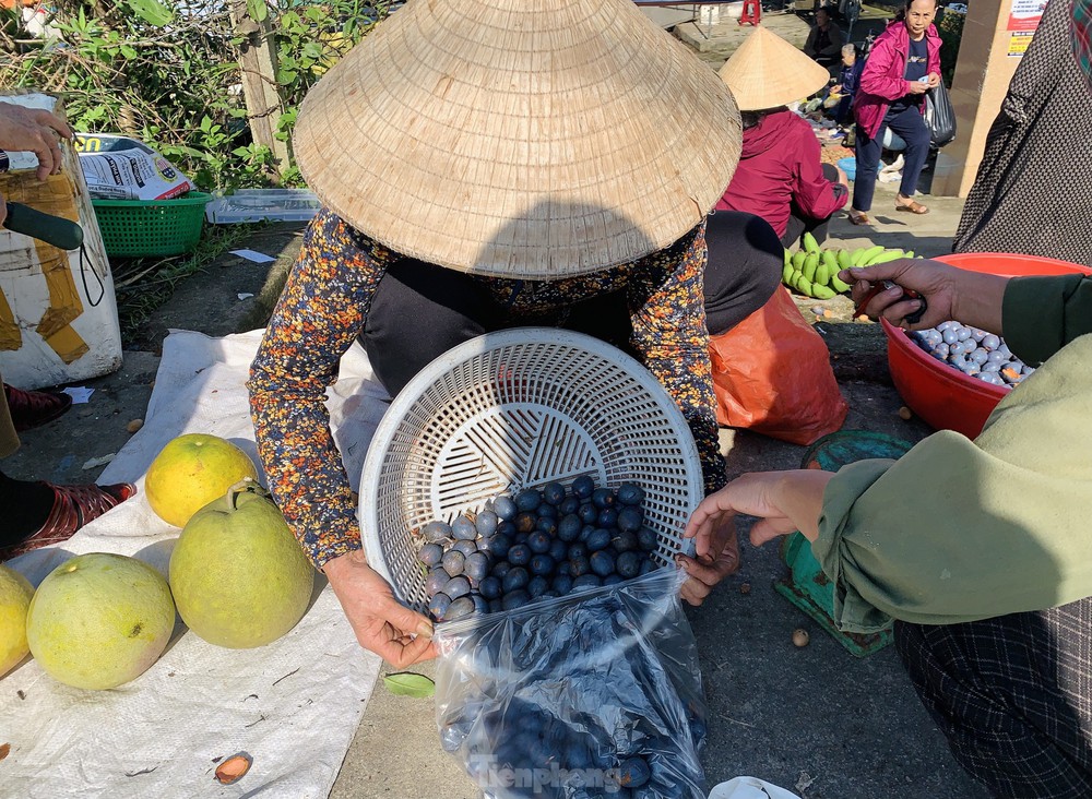 Lên đời nhờ loài cây mọc hoang trở thành món đặc sản - Ảnh 10.