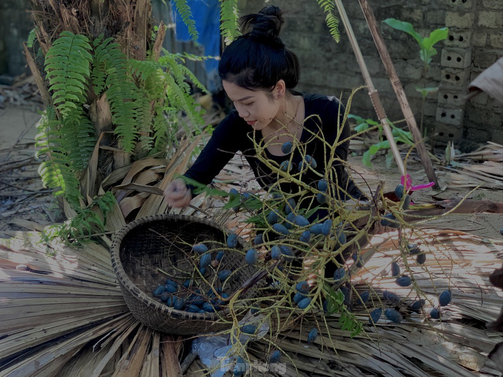 Lên đời nhờ loài cây mọc hoang trở thành món đặc sản - Ảnh 5.