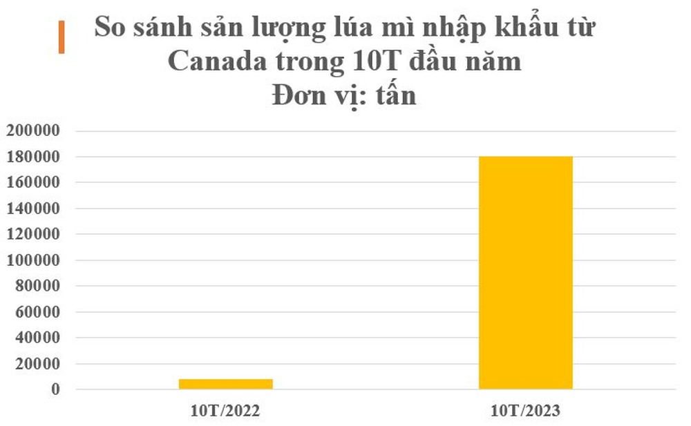 Một loại nông sản từ Canada đổ bộ Việt Nam với giá rẻ bất ngờ: Nhập khẩu tăng hơn 2.000% trong 10 tháng đầu năm, chỉ có 12 quốc gia đủ hàng để xuất khẩu - Ảnh 5.