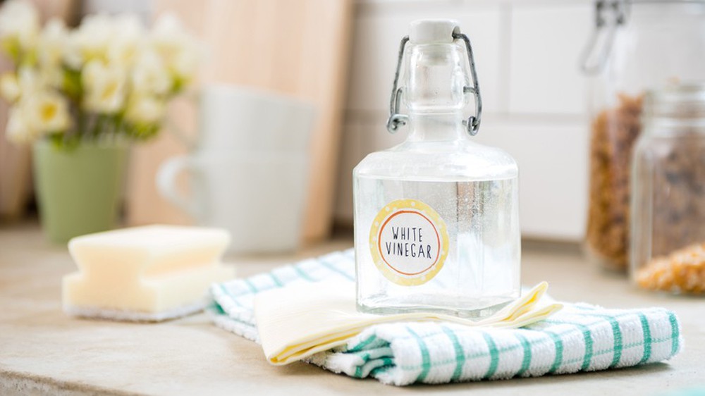 Loại gia vị rẻ tiền nhà nào cũng có là "sát thủ" mùi hôi: Từ tủ lạnh đến phòng vệ sinh đều xử lý được- Ảnh 1. Loại gia vị rẻ tiền nhà nào cũng có là "sát thủ" mùi hôi: Từ tủ lạnh đến phòng vệ sinh đều xử lý được- Ảnh 1.