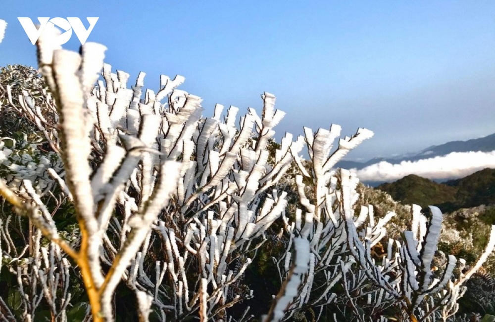 Đợt rét cực mạnh sắp tới khả năng gây ra băng giá trong khoảng thời gian nào? - Ảnh 2.