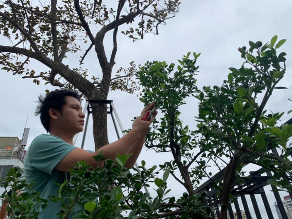 3 căn biệt thự bề thế và cuộc sống điền viên của ông hoàng nhạc đỏ Trọng Tấn bên bà xã tài giỏi - Ảnh 4.