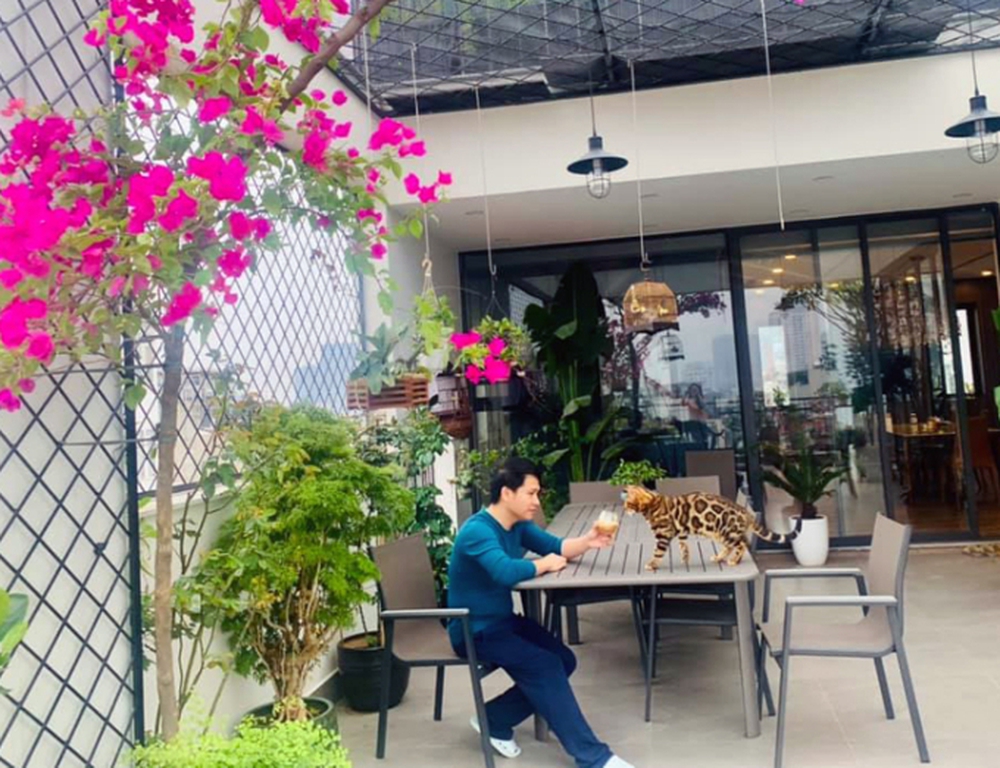 3 căn biệt thự bề thế và cuộc sống điền viên của ông hoàng nhạc đỏ Trọng Tấn bên bà xã tài giỏi - Ảnh 3.