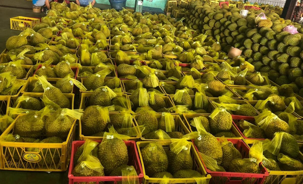 Một mặt hàng lên cơn sốt tại Trung Quốc, 10 tháng, Việt Nam thu về 1,95 tỷ USD từ thị trường tỷ dân - Ảnh 2.