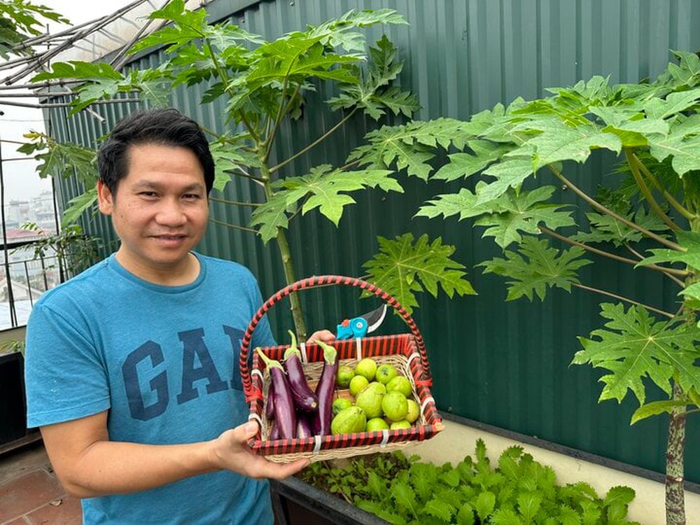 Biệt thự rợp b&oacute;ng c&acirc;y xanh của &ocirc;ng ho&agrave;ng nhạc đỏ Trọng Tấn - Ảnh 2.