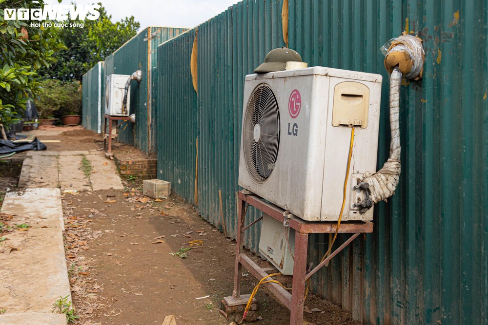 Cận cảnh đào Thất Thốn tiền triệu bị ép ngủ phòng điều hòa để nở hoa trúng Tết - Ảnh 7.