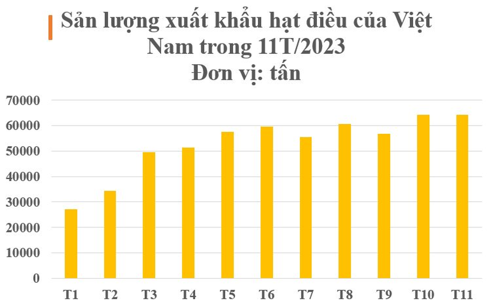 Mỹ săn lùng loại hạt ‘châu báu’ của Việt Nam: Chỉ 1/10 khu vực trên thế giới cho ra chất lượng tốt nhất, kiếm hàng trăm triệu USD mỗi tháng - Ảnh 2.