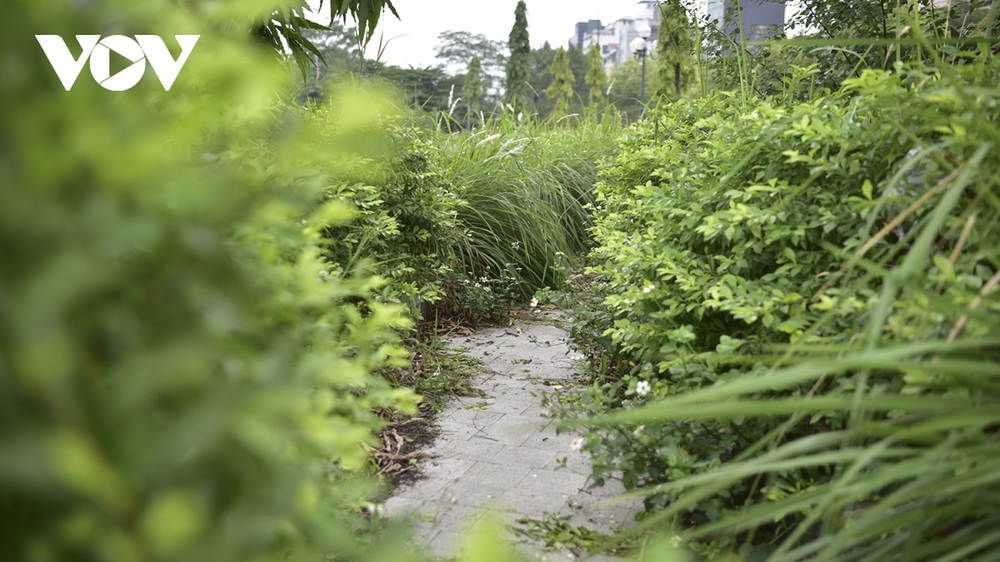 Công viên hàng trăm tỷ tại Hà Nội xuống cấp, nhếch nhác, cỏ mọc um tùm - Ảnh 3.