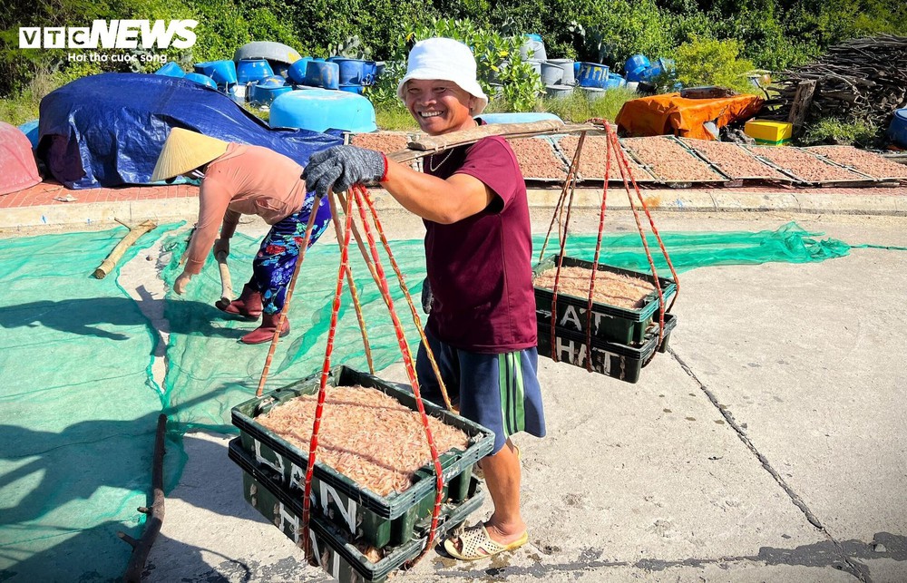 ‘Lộc biển’ về sớm, ngư dân Bình Định kiếm tiền triệu chỉ vài giờ - Ảnh 12.