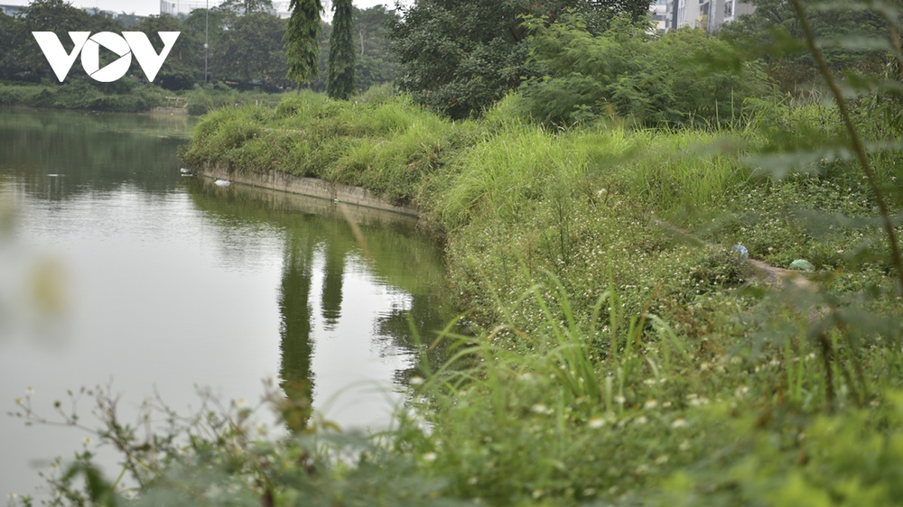 Công viên hàng trăm tỷ tại Hà Nội xuống cấp, nhếch nhác, cỏ mọc um tùm - Ảnh 4.