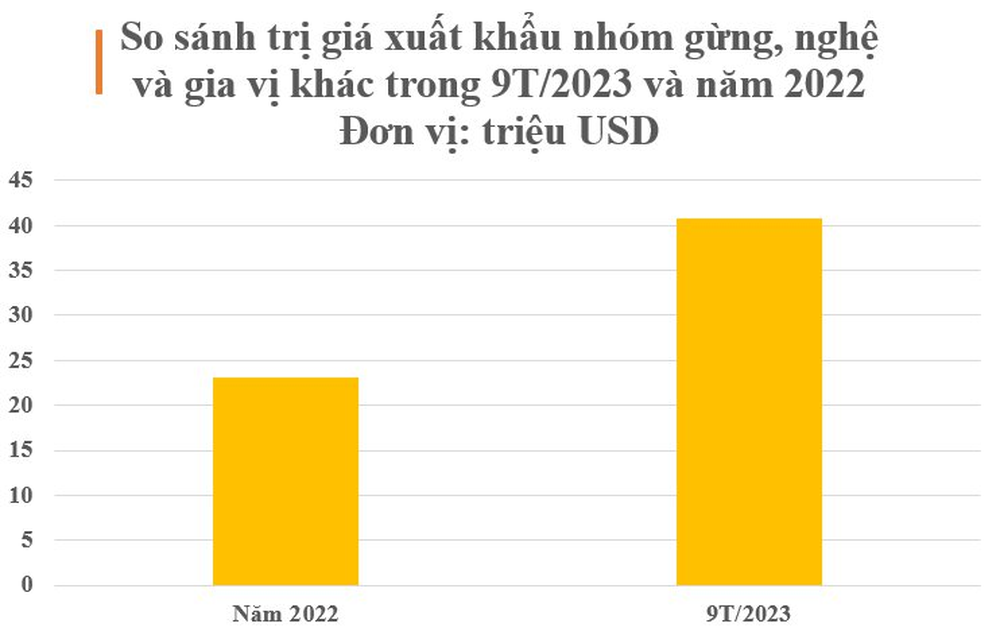 Việt Nam sở hữu một loại củ hiếm có khó tìm trên thế giới: Thu về hàng chục triệu USD mỗi năm, chỉ có dưới 10 quốc gia trồng được - Ảnh 2.