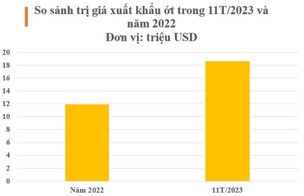 Việt Nam sở hữu loại quả ‘một vốn mười lời’ được Lào, Trung Quốc đua nhau săn đón: Xuất khẩu tăng hơn 100%, thu về hàng chục triệu USD - Ảnh 3.