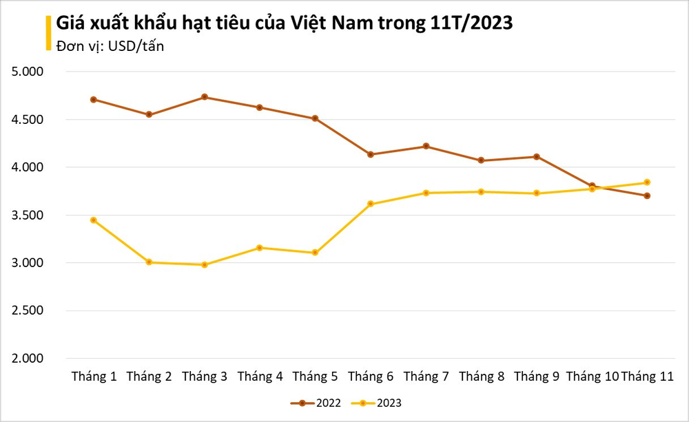 Một loại vàng đen của Việt Nam bỗng ồ ạt đổ bộ Tây Phi: Xuất khẩu tăng nóng hơn 200%, cả thế giới phụ thuộc vào Việt Nam - Ảnh 3.