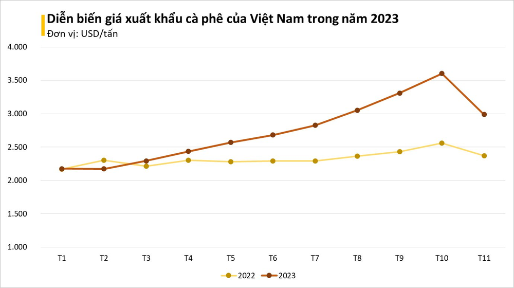 Giá liên tục tăng vào neo ở mức cao, người dân trồng cà phê trúng đậm - Ảnh 3.