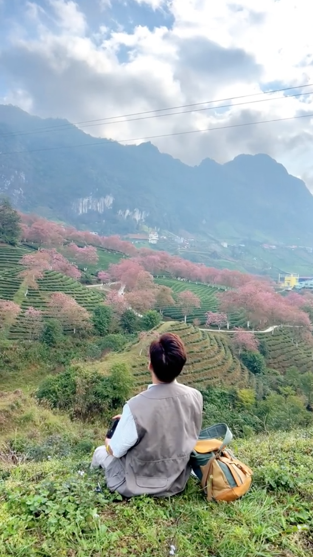 Hoa mai anh đào nở rực rỡ ở Sa Pa nhưng cách bán vé vào mới là điều khiến dân tình chú ý