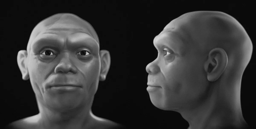 Phục dựng thành công chân dung loài người tuyệt chủng 146.000 năm trước - Ảnh 1.