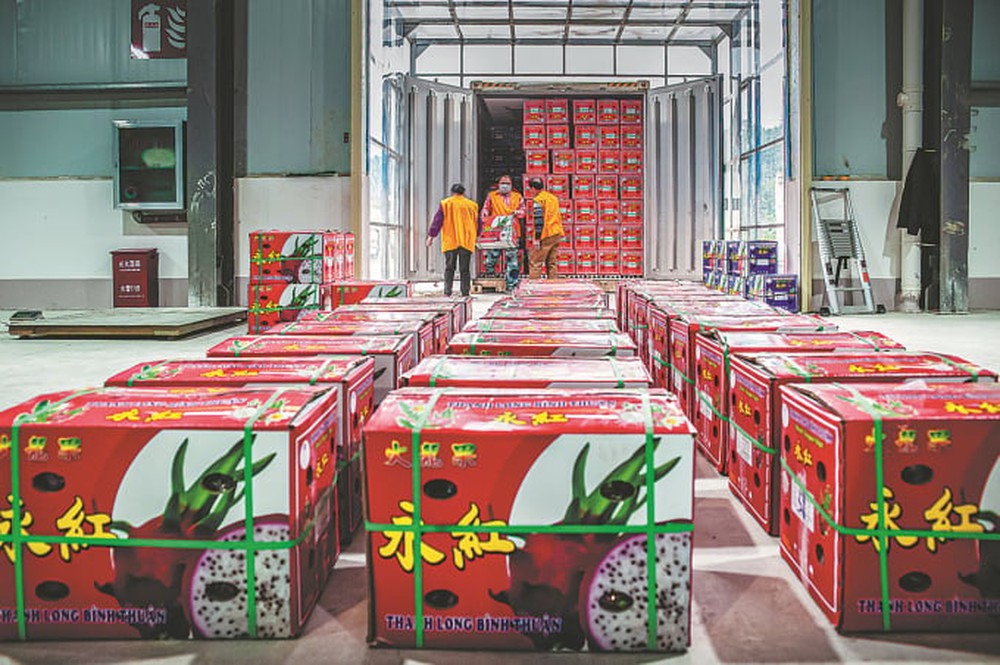 Việt Nam sở hữu siêu trái cây khiến người Trung Quốc phát cuồng: xuất khẩu số 1 thế giới, làm nguyên liệu tạo hot trend gây bão mạng gần đây - Ảnh 2.