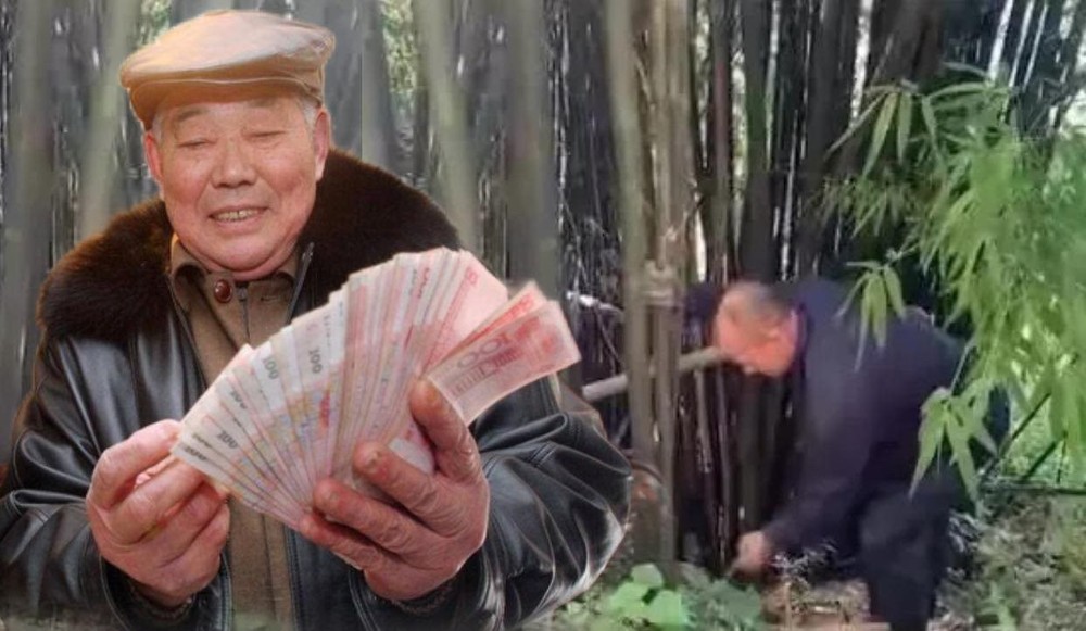 Vào rừng hái măng, người đàn ông nhặt được túi tiền hơn 24 tỷ đồng, cảnh sát Nhật Bản lập tức vào cuộc điều tra: Danh tính chủ nhân số tiền gây bất ngờ - Ảnh 1.