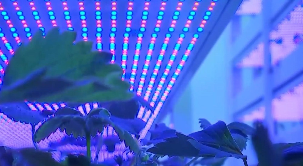 Cho robot đi… trồng rau, Trung Quốc lại gây ngỡ ngàng với trình độ công nghệ đỉnh cao khi ra mắt mô hình trang trại như ‘chung cư 20 tầng’ đầu tiên của thế giới - Ảnh 2.