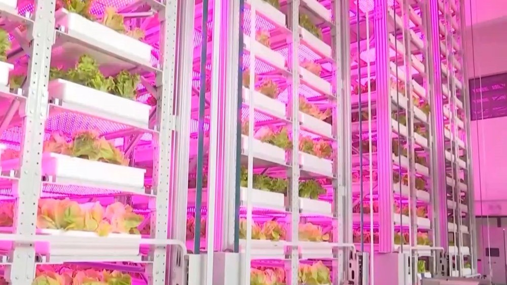Cho robot đi… trồng rau, Trung Quốc lại gây ngỡ ngàng với trình độ công nghệ đỉnh cao khi ra mắt mô hình trang trại như ‘chung cư 20 tầng’ đầu tiên của thế giới - Ảnh 1.