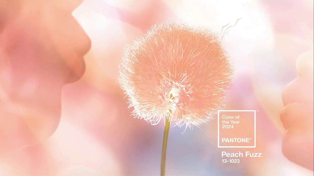 Pantone công bố màu của năm 2024: Đại diện cho lòng nhân ái, sự kết nối con người và sức khỏe tinh thần - Ảnh 3.