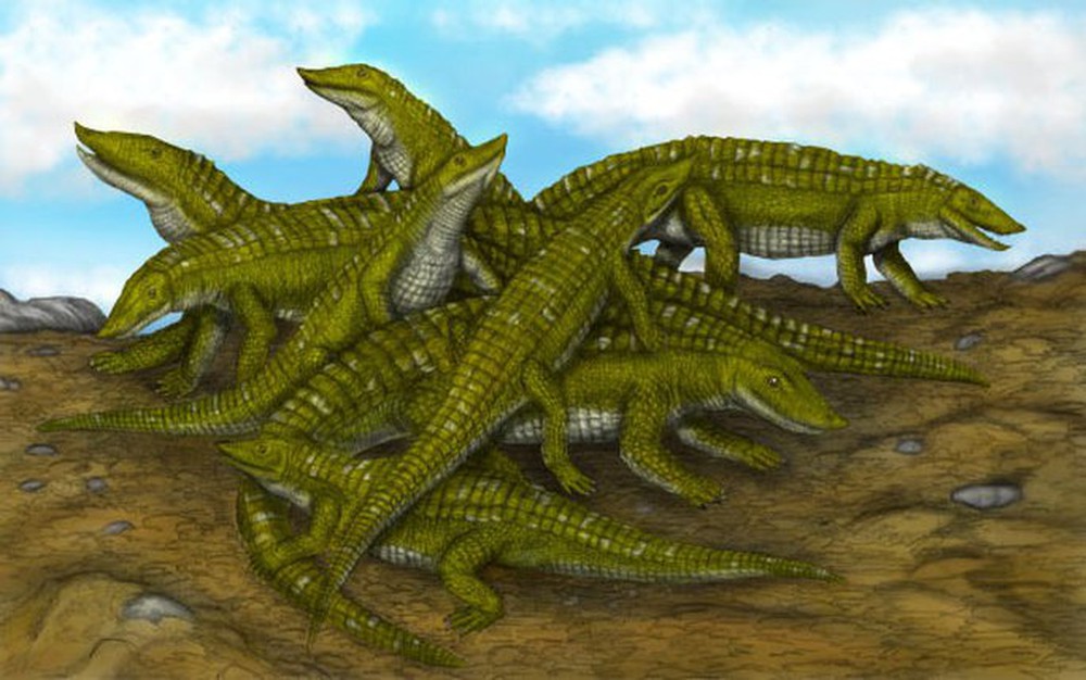 Vén màn bí ẩn khủng long lai đại bàng, cá sấu hơn 200 triệu tuổi - Ảnh 3.