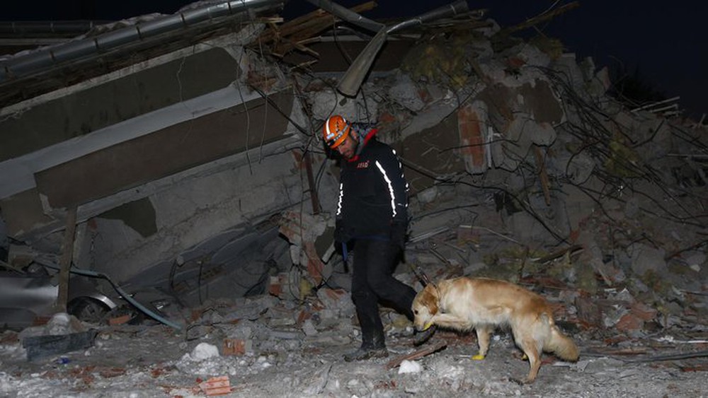 Chú chó cứu hộ ở Thổ Nhĩ Kỳ: Bị thương vẫn miệt mài tìm kiếm nạn nhân động đất - Ảnh 1.