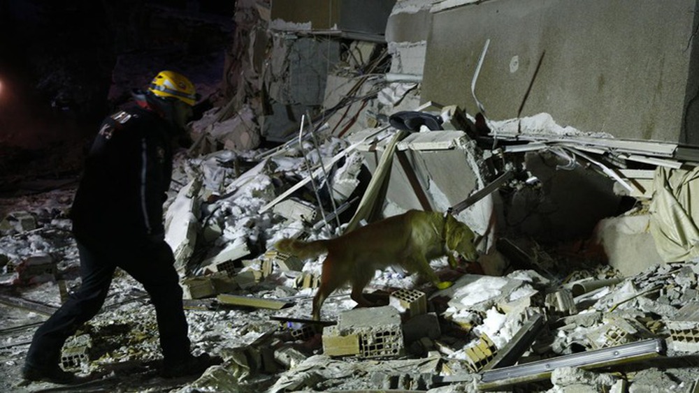 Chú chó cứu hộ ở Thổ Nhĩ Kỳ: Bị thương vẫn miệt mài tìm kiếm nạn nhân động đất - Ảnh 6.