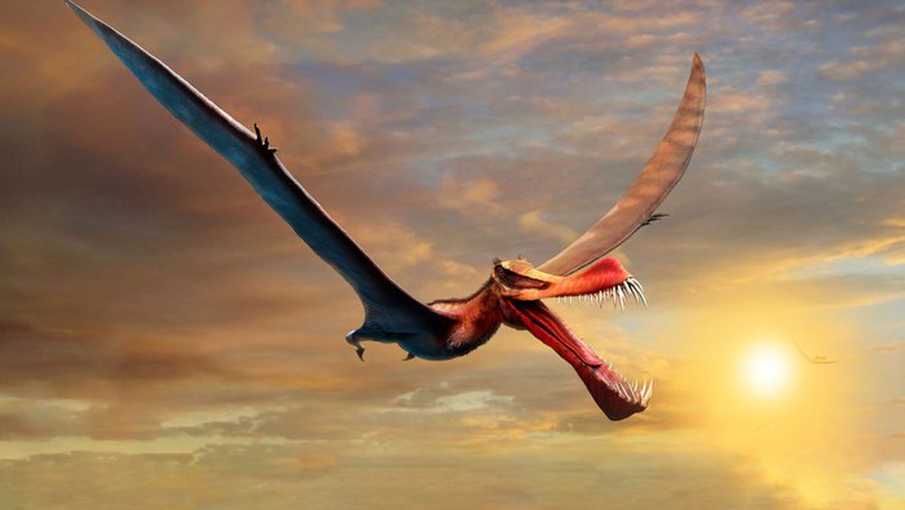 Thằn lằn cổ đại đã phát triển khả năng bay như thế nào? - Ảnh 2.