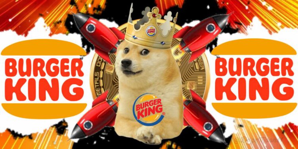 Chuyện về chú chó được chế meme nhiều nhất mạng xã hội: Xuất thân từ chó cứu hộ, thoát chết khi bị bỏ rơi và cuộc sống hiện tại gây bất ngờ - Ảnh 3.