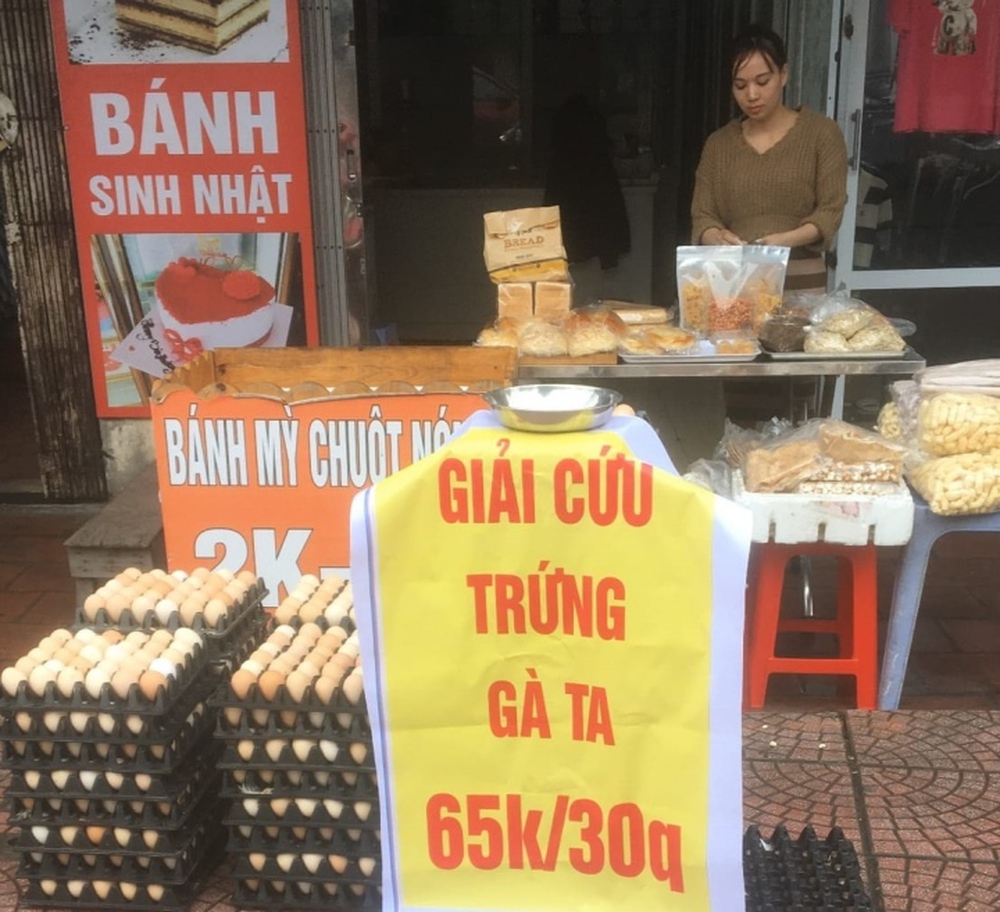 Cục trưởng Cục chăn nuôi: Giá trứng gà giảm nhưng chưa đến mức phải giải cứu - Ảnh 2.