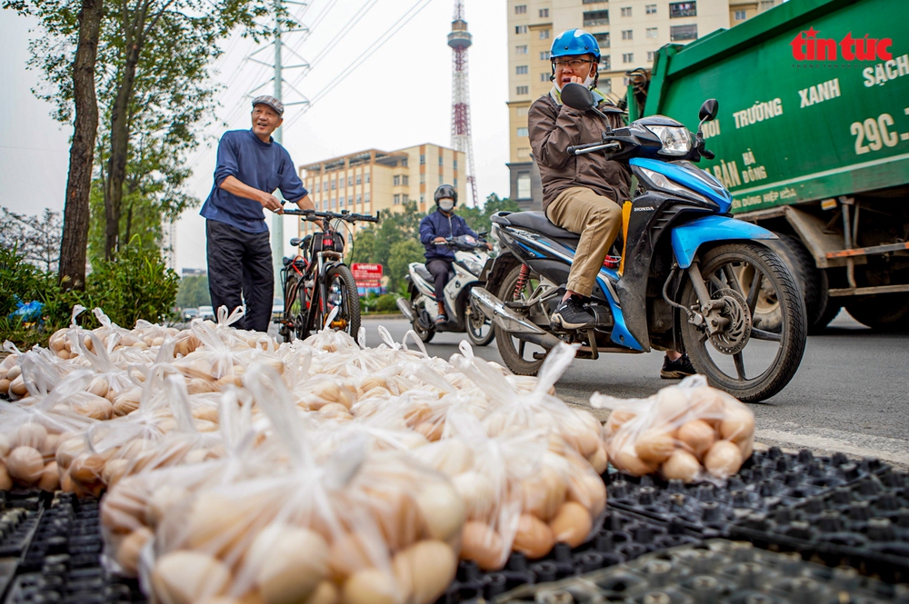 Cần làm rõ nguồn gốc những quả trứng gà, vịt giải cứu ở Hà Nội - Ảnh 8.