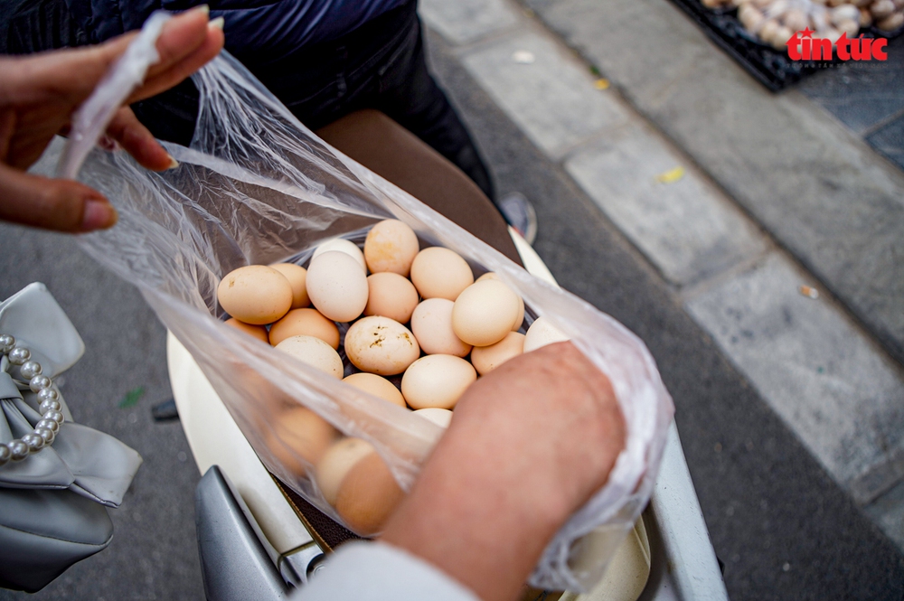 Cần làm rõ nguồn gốc những quả trứng gà, vịt giải cứu ở Hà Nội - Ảnh 7.