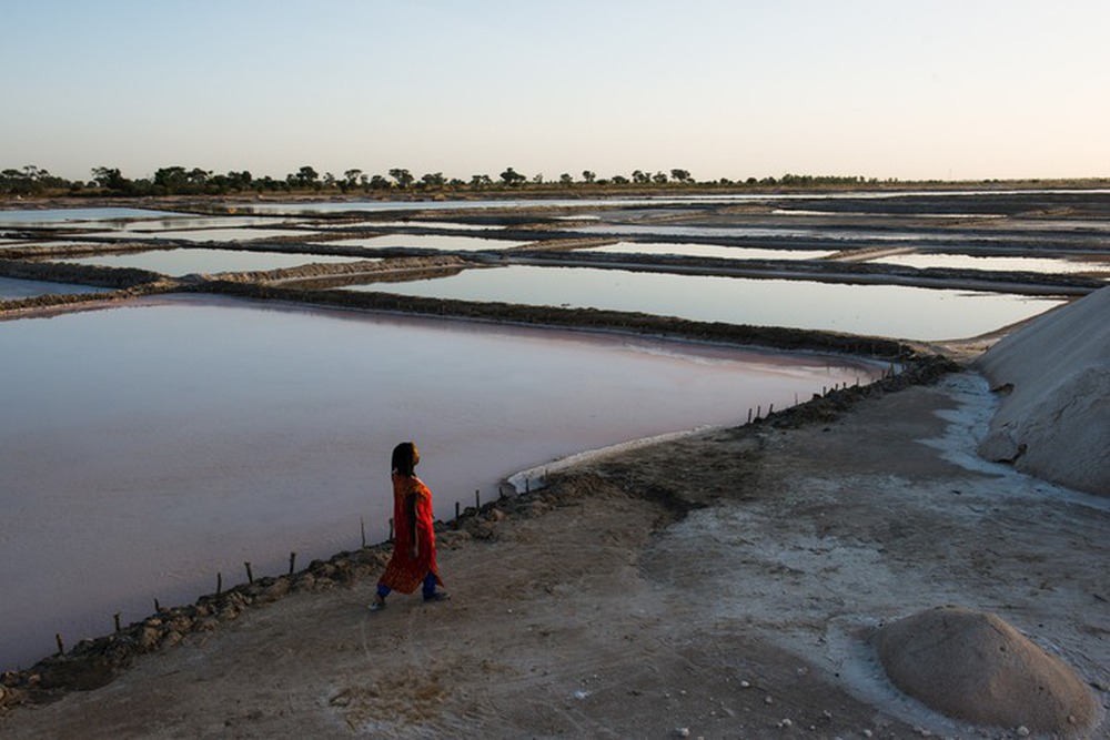 Nữ hoàng muối Senegal: Cứu cả một thế hệ đất nước nhờ thứ gia vị màu trắng - Ảnh 3.