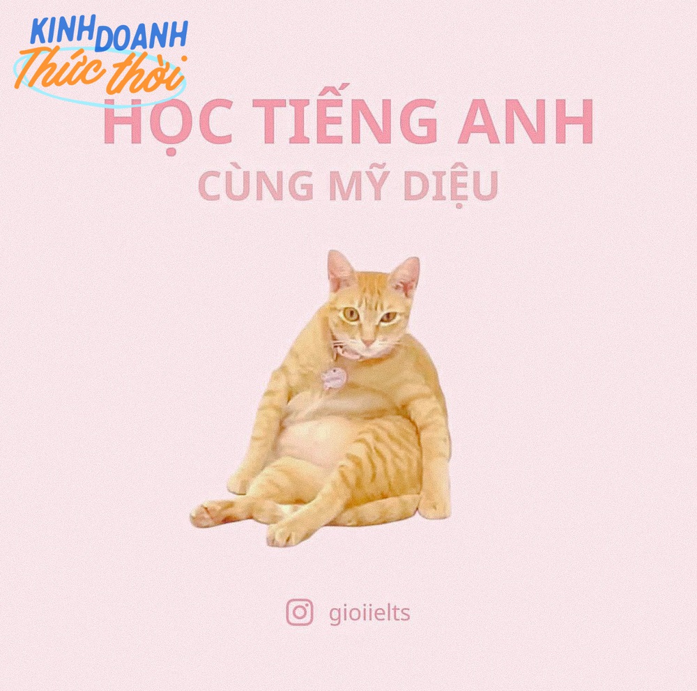 Những chú mèo nổi tiếng nhất Tiktok, bất đắc dĩ giúp chủ “hái ra tiền” - Ảnh 7.