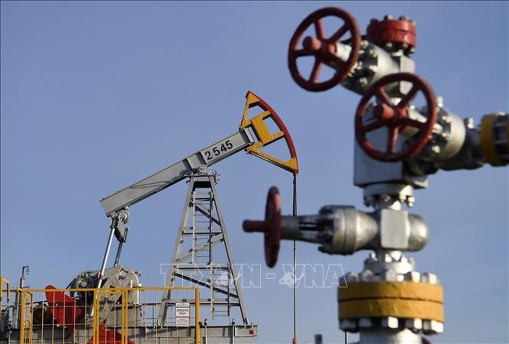 Lệnh cấm sản phẩm dầu Nga sẽ gây gián đoạn nguồn cung dầu toàn cầu - Ảnh 1.